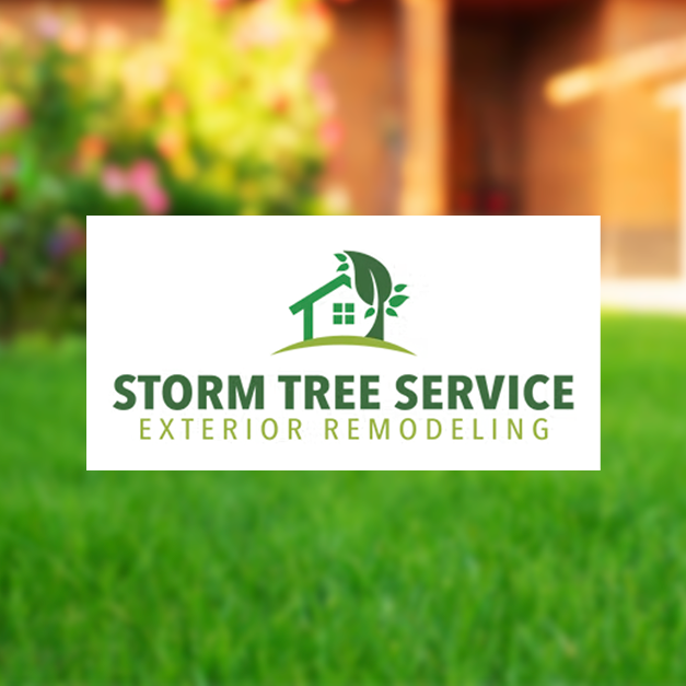 Pagina Web e identidad visual de storm tree service, Landscapinf