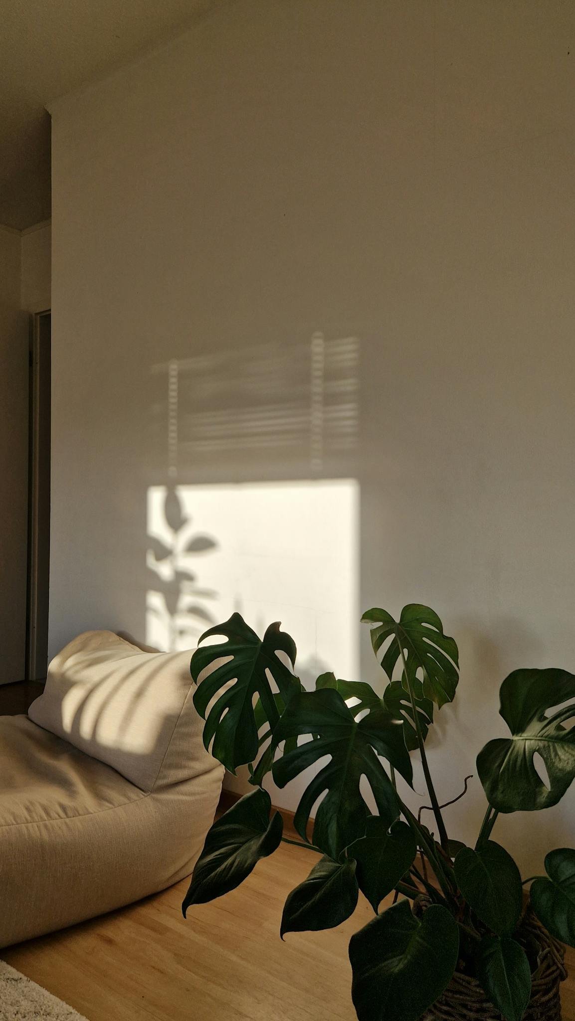 A sunlight-filled bedroom with minimalist decor and a Monstera plant.